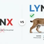 Linx or Lynx