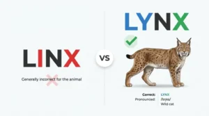 Linx or Lynx