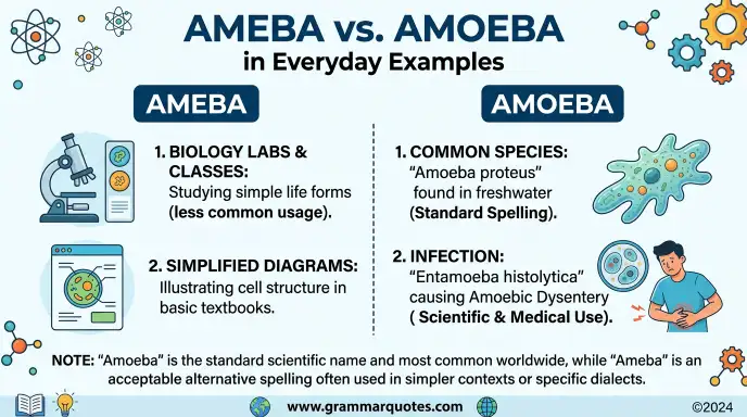 Ameba and Amoeba in Everyday Examples