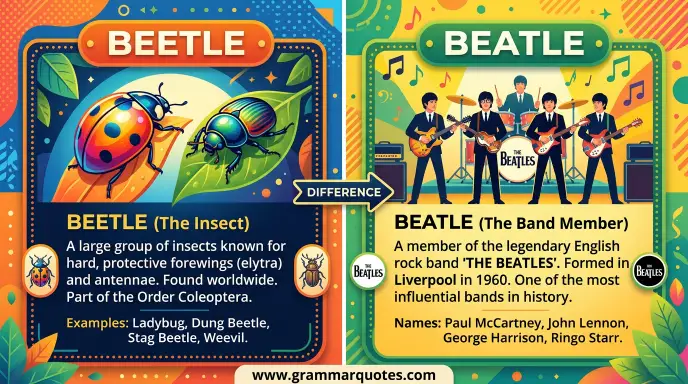 Beetle or Beatle