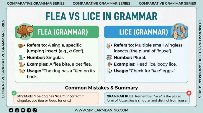 Flea vs Lice in Grammar