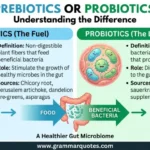prebiotics or probiotics